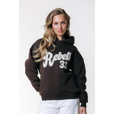 Colourful Rebel Rebel 33 Clean Hoodie Brown Size: XS | Hoodies & Sweatshirts Outlet | Dames | Bruin