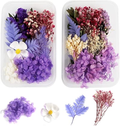 Set van 2 Natuurlijke Gedroogde Bloemen voor Creatieve Projecten, Persbloemen voor DIY Resin en Scrapbooking