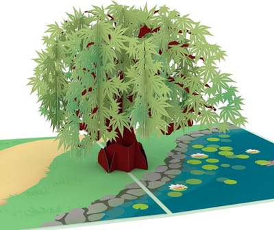 Pop-up Kaart Esdoornboom - Wenskaart Natuur Boom Kaart - Verrassen met een Cadeau - Gedetailleerd Gesneden Bladeren - 1 stuk