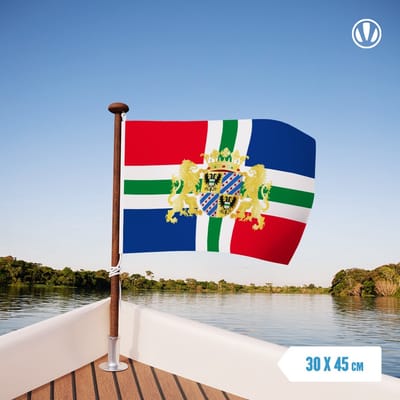 Vlag Groningen met Wapen 30x45cm