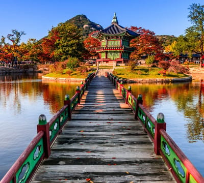 Het Gyeongbokgung paleis in de herfstkleuren van Seoul - Fotobehang (in banen) - 250 x 260 cm