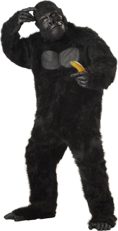 Gorilla