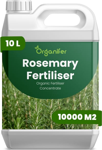 Vloeibare Meststof Voor Rozemarijn 10 L Voor 10000 M2 - Npk 2-1-8 - Ondersteunt Compacte - Aromatische Groei Bij Rozemarijn - Geschikt Voor Tuinborders - Potten En Verhoogde Plantenbedden - Verbetert De Concentratie Van Essentiële Oliën - Organifer