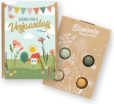 Blossombs - Giftbox Mini 4st - Bloemen voor je verjaardag - Geschenkverpakking - Duurzaam