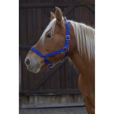 NORTON PRO TREKPAARDHALSTER NYLON Blauw