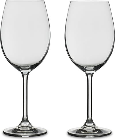 BITZ Witwijnglas 45 cl 2 st.