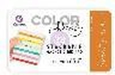 Prima Marketing Color Philosophy Dye Ink Burnt Sienna