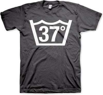 Hybris 37 Celcius Tee T-shirt donkergrijs