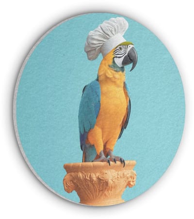 Akoestisch wandpaneel rond 30x30 cm - Vilt schilderij Papegaai - Koksmuts - Grappig - Vogel - Ronde akoestische panelen - Geluidsdempende wanddecoratie - Geluidsisolatie wandcirkel - Muurdecoratie geluidspanelen