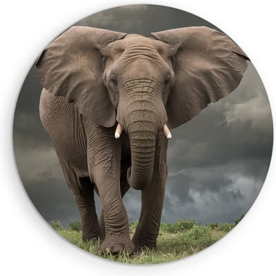 Saammp Muurcirkel Hout - Olifant tijdens Storm - Afrika - Dieren - Ø 90 - Wandcirkel - Wanddecoratie Cirkel - muurdecoratie Woonkamer - Slaapkamer decoratie - Rond Schilderij