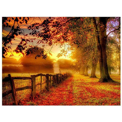 Volledige ronde boor 5D DIY Diamond Painting Herfstbos Landschap Borduurwerk Kralen Kruissteek 20X30CM orange