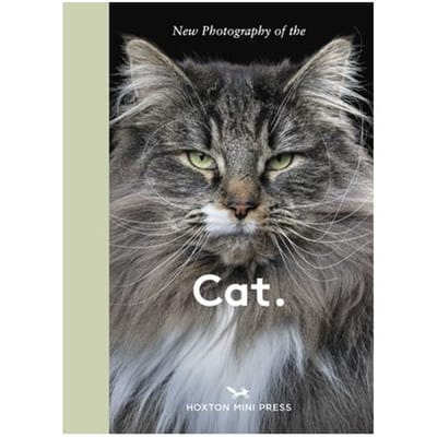 New Photography Of The Cat. - New Photography Of The - Hoxton Mini Press