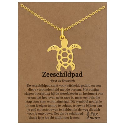 Stainless Steel Zeeschildpad Ketting op Cadeau Kaartje Goudkleurig - 45cm + 5cm Verstelbaar Roestvrij Staal - Schattige Cadeau Hanger - Pax Amare