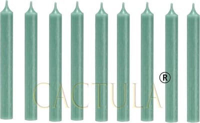 Cactula mooie dinerkaarsen 19.5 cm Jade Groen 18 stuks | 6 branduren