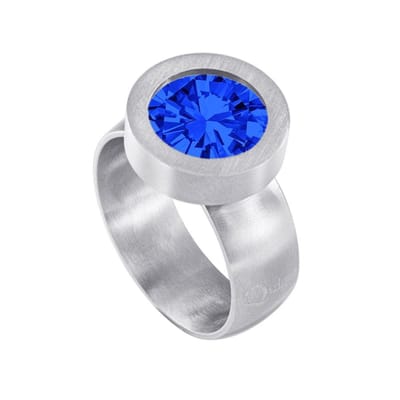 Quiges RVS Schroefsysteem Ring Zilverkleurig Mat 16mm met Verwisselbare 12mm Mini Munt - SLSRS44616