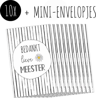 10x Minikaartjes + Mini-envelopjes | BEDANKT LIEVE MEESTER | kleine kaartjes met kraft enveloppen
