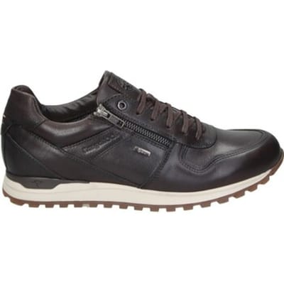 Lage Sneakers Kangaroos 118080