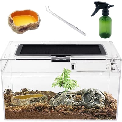 Terrarium Kit - 30 x 18 x 15 cm, Met RVS Pincet, Sprayflessen, Water Voedsel Bowl, Voor Gecko, Hermit Krab, Bearded Dragon, Lizard