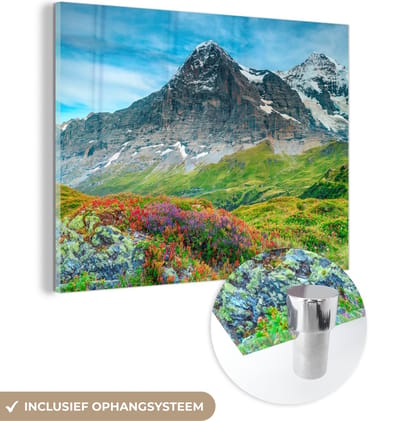 MuchoWow® Glasschilderij 40x30 cm - Schilderij acrylglas - Bloemen - Berg - Sneeuw - Landschap - Foto op glas - Schilderijen