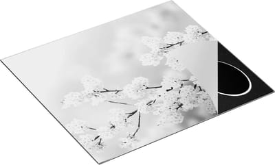Chefcare Inductie Beschermer Roze Bloesem Bloemen - Zwart Wit - 60x50 cm - Afdekplaat Inductie - Kookplaat Beschermer - Inductie Mat
