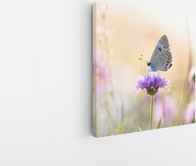 Saammp - Canvas Schilderij - Vlinder op paarse bloem - Dieren - Natuur - 20x20 - Foto op canvas - Wanddecoratie - muurdecoratie Woonkamer - Slaapkamer decoratie - Canvas Print