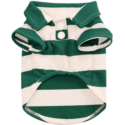 T-shirts pour chien fins respirants vêtements d'été pour chien pour petits grands chiens chiot animal de compagnie chat gilet chemise matériau de haute qualité XL vert