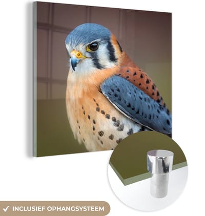 MuchoWow® Glasschilderij 50x50 cm - Schilderij acrylglas - Vogel - Macro - Blauw - Foto op glas - Schilderijen