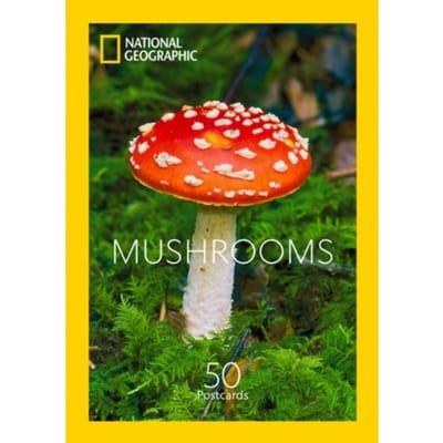 Mushrooms - National Geographic