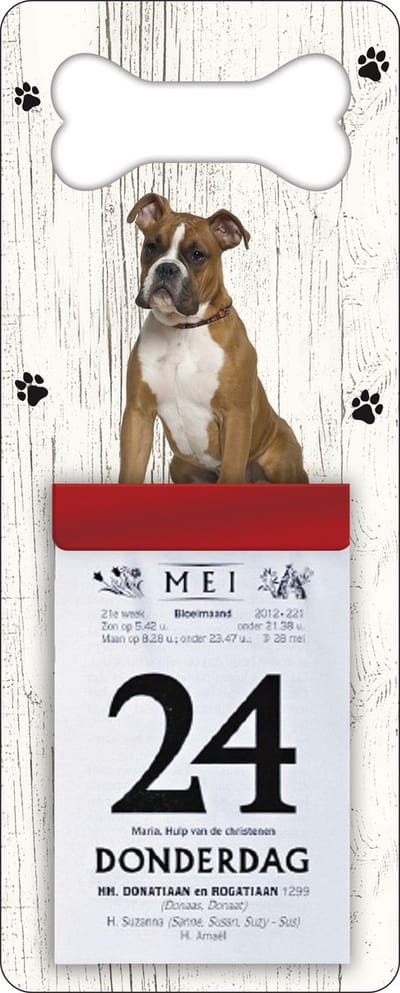 Scheurkalender 2027 Hond: Boxer bruin