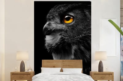 Behang - Fotobehang Uil - Vogel - Zwart - Portret - Breedte 170 cm x hoogte 260 cm