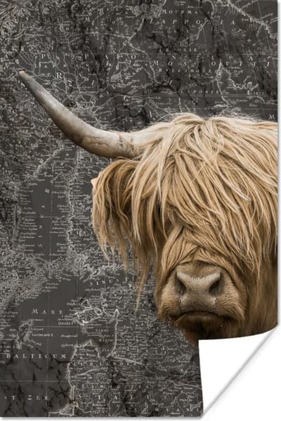 Poster 20x30 cm - Schotse hooglander - Koeien - Wereldkaart - Posters - Kamer decoratie - Wanddecoratie woonkamer - Muurdecoratie slaapkamer