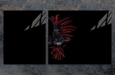 TMK ArtDeko Serie - Snijplank van Gehard Glas - 100x52 cm - Veelzijdig en Hygienisch
