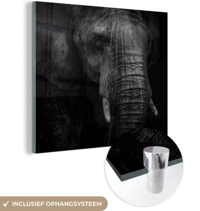 MuchoWow® Glasschilderij 50x50 cm - Schilderij acrylglas - Olifant - Dier - Portret - Foto op glas - Schilderijen