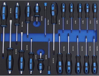 TRUTZHOLM - Professionele Schroevendraaierset Inzet - 21-Delig - 520x400 mm - EVA Schuim - Blauw - Werkplaatswagen