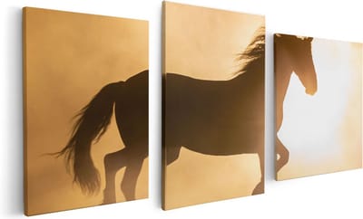 Artaza Canvas Schilderij Drieluik Silhouet Van Een Paard - 120x60 - Foto Op Canvas - Canvas Print