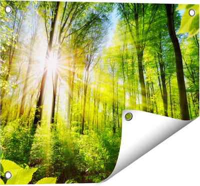 Gards Tuinposter Weg Omringd met Bomen in het Bos - 50x40 cm - Tuindoek - Tuindecoratie - Wanddecoratie buiten - Tuinschilderij