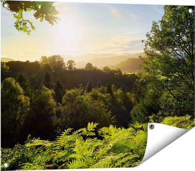 Gards Tuinposter Zonsondergang vanuit een Bos - 80x60 cm - Tuindoek - Tuindecoratie - Wanddecoratie buiten - Tuinschilderij