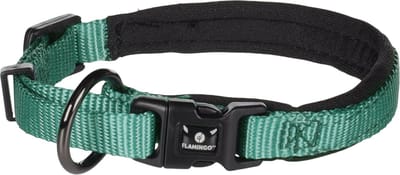 Flamingo Abbi - Halsband Honden - Halsband Abbi Groen Xxxs 25-30cm 10mm - 1st - 190638 - 1st