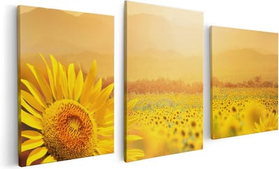Artaza Canvas Schilderij Drieluik Zonnebloemen Veld Met Zonopkomst - 120x60 - Foto Op Canvas - Canvas Print