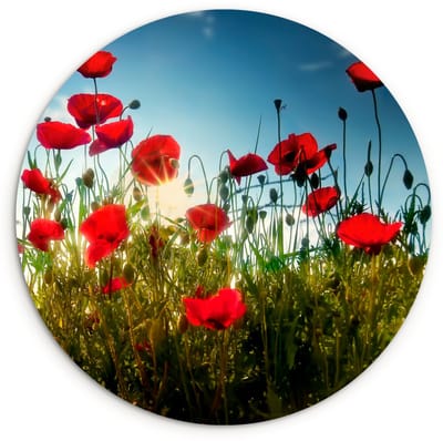 WallCircle® Wandcirkel 60x60 cm - Muurcirkel Klaprozen - Toscane - Zon - Rood - Blauw - Muurdecoratie woonkamer - Wanddecoratie slaapkamer - Kamer decoratie accessoires - Ronde schilderijen