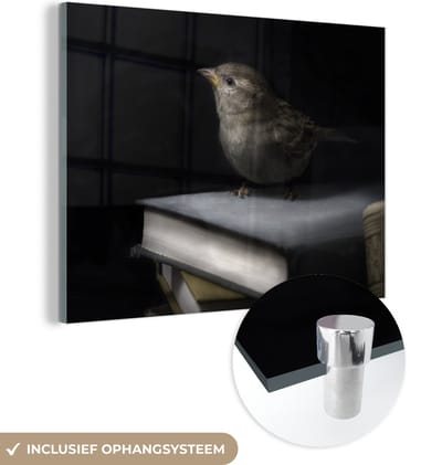 MuchoWow® Glasschilderij 160x120 cm - Schilderij acrylglas - Vogel - Boeken - Portret - Foto op glas - Schilderijen