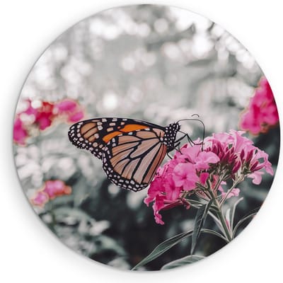 Saammp Muurcirkel Hout - Vlinder bij Roze Bloemen - Dieren - Natuur - Ø 90 - Wandcirkel - Wanddecoratie Cirkel - muurdecoratie Woonkamer - Slaapkamer decoratie - Rond Schilderij