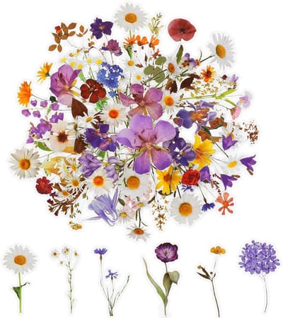 120 Pcs Bloemen Stickers voor Scrapbooking - Natuurlijke Aesthetic Stickers voor Creatieve Projecten, Laptop, Kaarten en Knutselbenodigdheden in 60 Stijlen