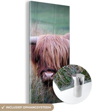 MuchoWow® Glasschilderij 20x40 cm - Schilderij acrylglas - Schotse Hooglander - Hoorns - Gras - Foto op glas - Schilderijen