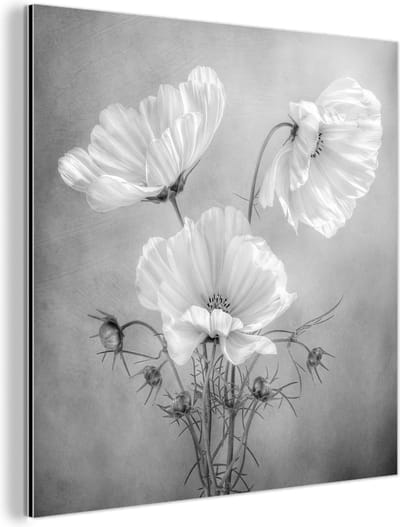 Aluminium schilderij 90x90 cm - Wanddecoratie metaal - Stilleven - Bloemen - Zwart wit - Klaproos - Botanisch - Metalen muurdecoratie woonkamer - Decoratie industrieel - Foto op dibond - Industriële accessoires slaapkamer