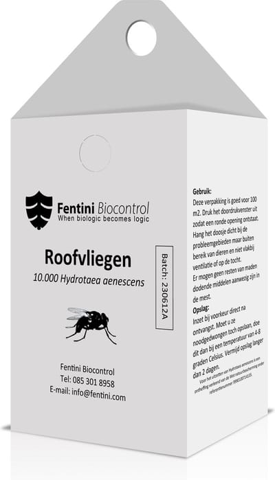Fentini Roofvliegen - Roofvlieg Hydrotaea aenescens tegen vliegen in uw stal - Ophyra aenescens / stalvliegen / biologisch bestrijden 100m2