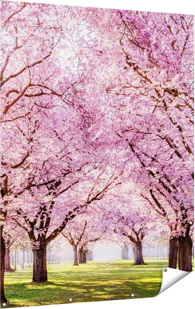 Gards Tuinposter Roze Bloesembomen Park - Bloemen - 120x160 cm - Tuindoek - Tuindecoratie - Wanddecoratie buiten - Tuinschilderij