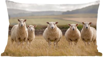 Sierkussens - Kussentjes Woonkamer - 60x40 cm - Schapen - Weidenlandschap - Heuvels