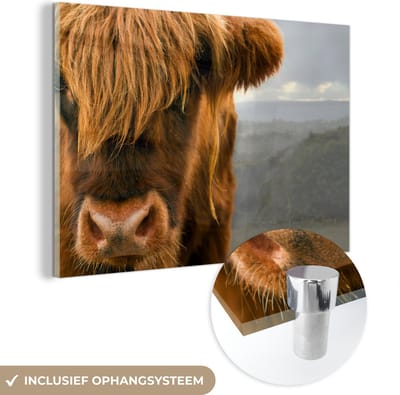 MuchoWow® Glasschilderij 150x100 cm - Schilderij acrylglas - Schotse Hooglander - Oranje - Neus - Foto op glas - Schilderijen
