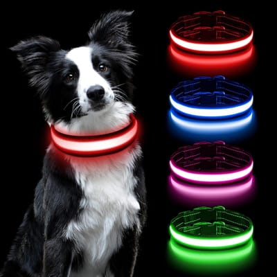 Lichtgevende Halsband USB Oplaadbaar, Verstelbare Veiligheidshalsband Met 3 Verlichtingsmodi, Licht Op in Het Donker, Waterdichte LED-Lichtgevende Halsband Voor Kleine Tot Grote Honden (Rood-M)